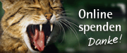 www.BUND.net * Wildkatzenprojekt *