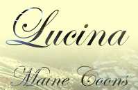 www.lucina-cats.de
