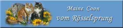 www.roesselsprung.com