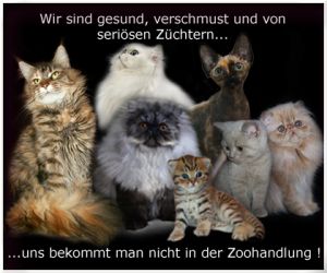 Petition: Keine Tiere aus dem Zoogeschft !