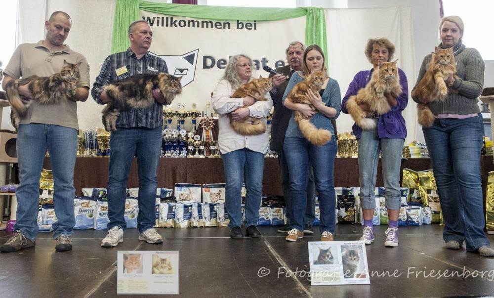 Die Generationen in Celle 2015
     von li: Callas, Benvenuto, Caitlin, Gedda, Native Spirit, Quando
     vorn von li: Native Spirit, Domenica, Bastet