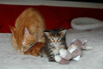 Callas mit Mama 39 Tage alt