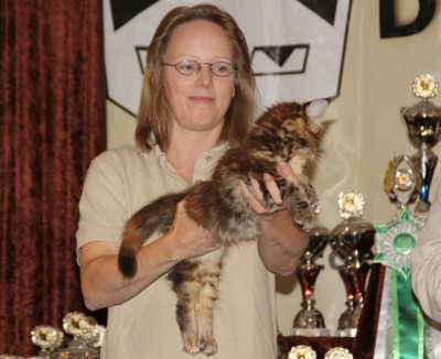 Callas BIC in Tostedt