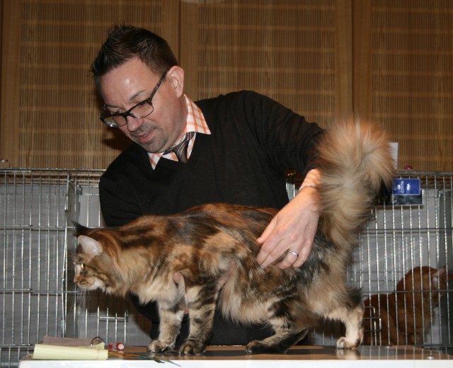 Callas in Holzminden