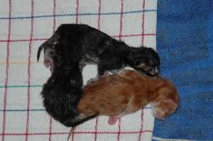 Trio am 4.Tag
