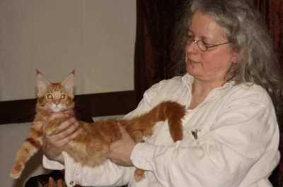 Gedda BIS in Tostedt