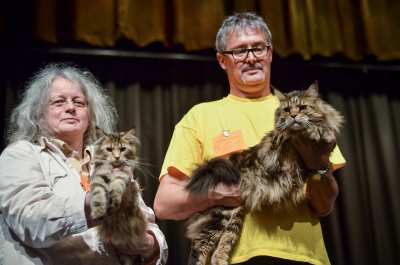 Callas und Benvenuto BIS in Osterode