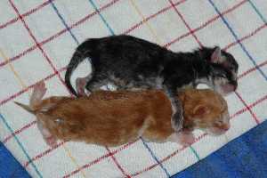 Max und Lise am 4.Tag