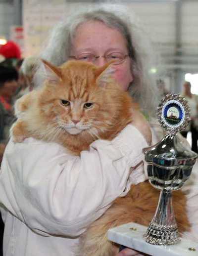 Native Spirit EK in Halle