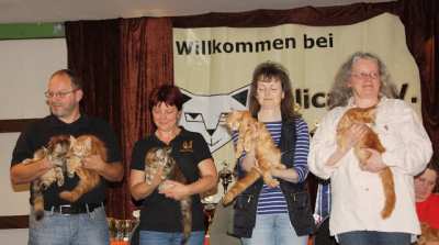 OPernwurf BIS in Tostedt