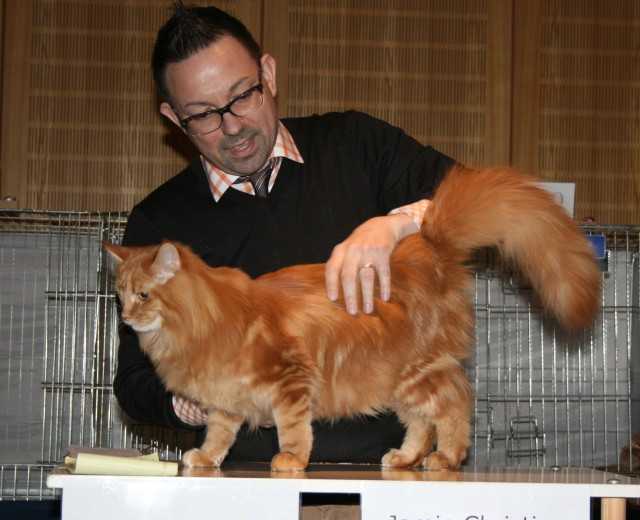 Quando in Holzminden