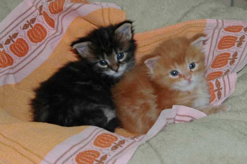 Max & Lise