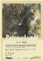 WildkatzenPate